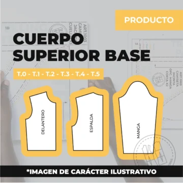 Cuerpo Superior Base